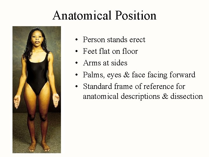 Anatomical Position • • • Person stands erect Feet flat on floor Arms at