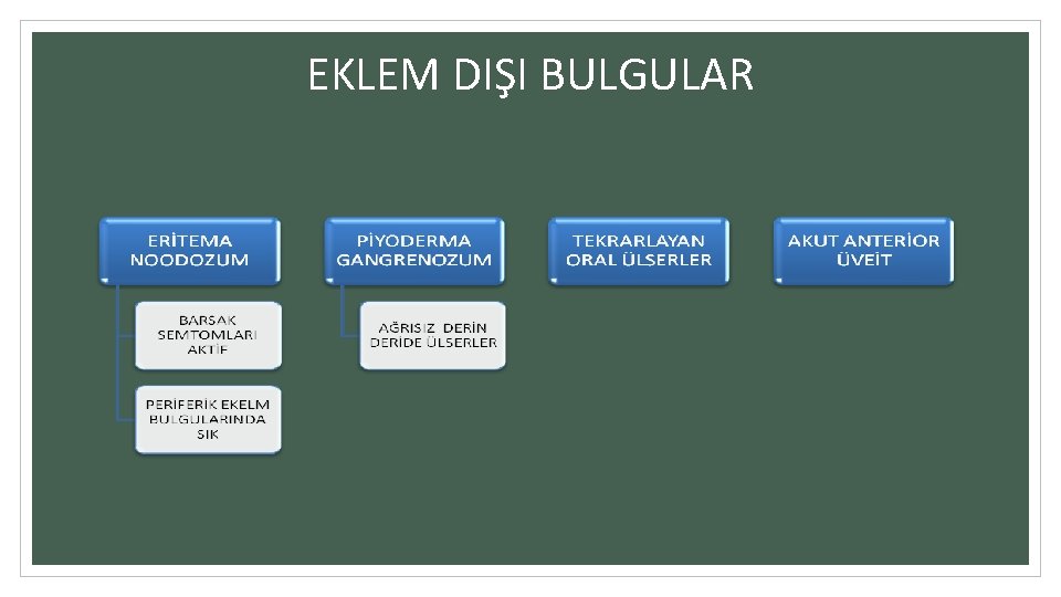 EKLEM DIŞI BULGULAR 