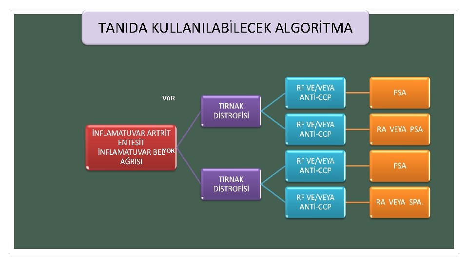 TANIDA KULLANILABİLECEK ALGORİTMA VAR YOK 