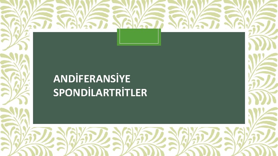 ANDİFERANSİYE SPONDİLARTRİTLER 