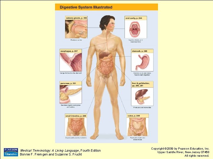 Medical Terminology: A Living Language, Fourth Edition Bonnie F. Fremgen and Suzanne S. Frucht Medical Terminology: A Living Language, Fourth Edition Bonnie F. Fremgen and Suzanne S. Frucht