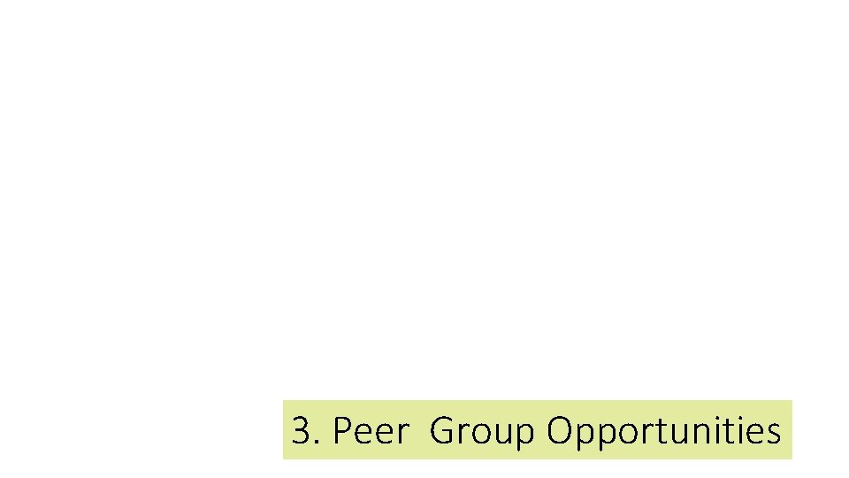 3. Peer Group Opportunities Transitioning out of School 