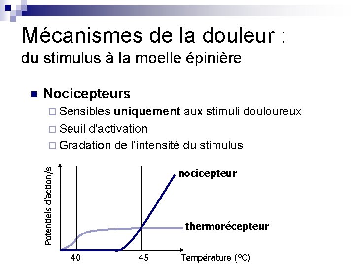 Mécanismes de la douleur : du stimulus à la moelle épinière Nocicepteurs ¨ Sensibles Mécanismes de la douleur : du stimulus à la moelle épinière Nocicepteurs ¨ Sensibles