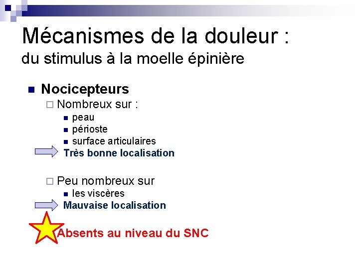 Mécanismes de la douleur : du stimulus à la moelle épinière n Nocicepteurs ¨ Mécanismes de la douleur : du stimulus à la moelle épinière n Nocicepteurs ¨