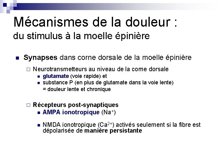 Mécanismes de la douleur : du stimulus à la moelle épinière n Synapses dans Mécanismes de la douleur : du stimulus à la moelle épinière n Synapses dans