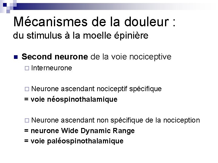 Mécanismes de la douleur : du stimulus à la moelle épinière n Second neurone Mécanismes de la douleur : du stimulus à la moelle épinière n Second neurone