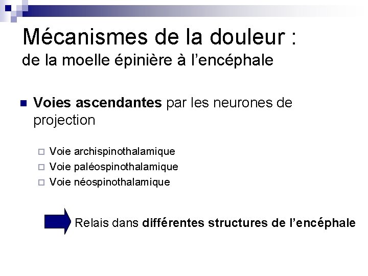 Mécanismes de la douleur : de la moelle épinière à l’encéphale n Voies ascendantes Mécanismes de la douleur : de la moelle épinière à l’encéphale n Voies ascendantes