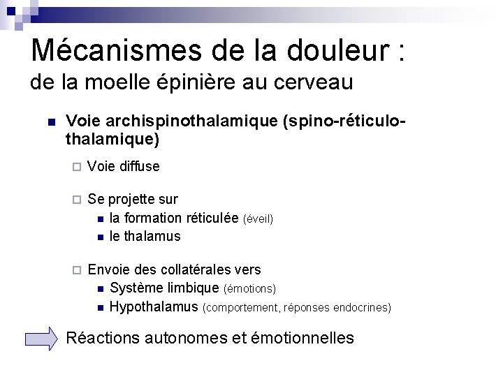 Mécanismes de la douleur : de la moelle épinière au cerveau n Voie archispinothalamique Mécanismes de la douleur : de la moelle épinière au cerveau n Voie archispinothalamique