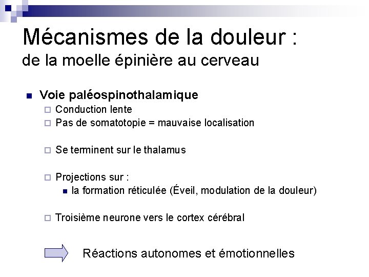 Mécanismes de la douleur : de la moelle épinière au cerveau n Voie paléospinothalamique Mécanismes de la douleur : de la moelle épinière au cerveau n Voie paléospinothalamique