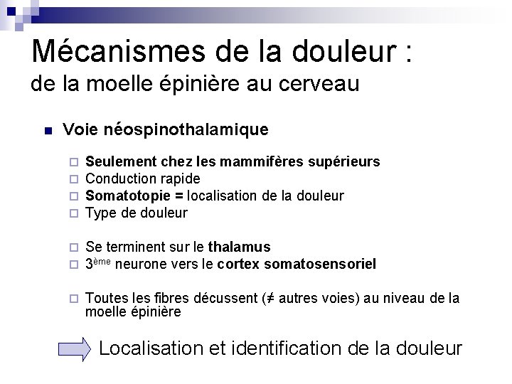 Mécanismes de la douleur : de la moelle épinière au cerveau n Voie néospinothalamique Mécanismes de la douleur : de la moelle épinière au cerveau n Voie néospinothalamique