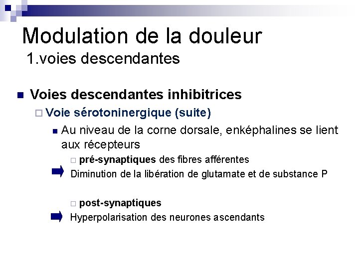 Modulation de la douleur 1. voies descendantes n Voies descendantes inhibitrices ¨ Voie sérotoninergique Modulation de la douleur 1. voies descendantes n Voies descendantes inhibitrices ¨ Voie sérotoninergique