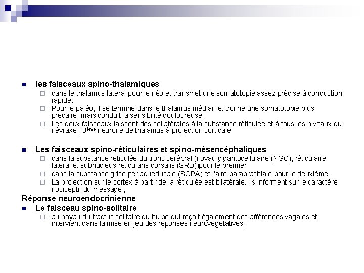 n les faisceaux spino-thalamiques dans le thalamus latéral pour le néo et transmet une n les faisceaux spino-thalamiques dans le thalamus latéral pour le néo et transmet une
