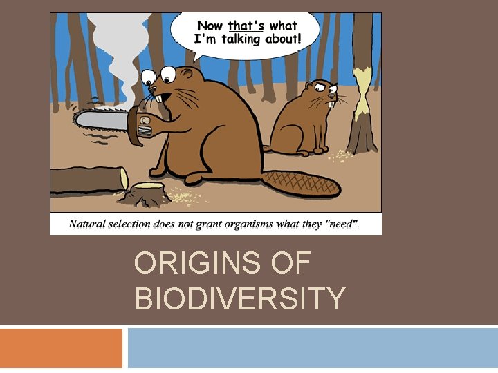 ORIGINS OF BIODIVERSITY 