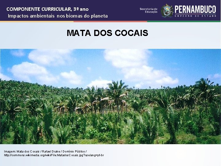 COMPONENTE CURRICULAR, 3º ano Impactos ambientais nos biomas do planeta MATA DOS COCAIS Imagem: