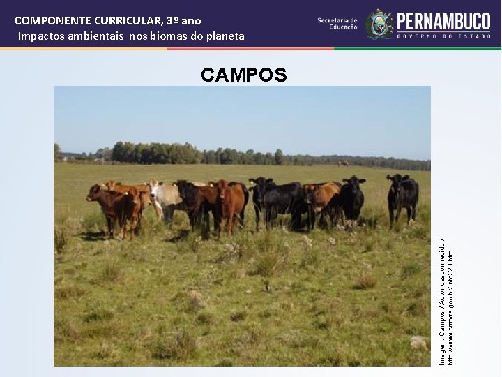COMPONENTE CURRICULAR, 3º ano Impactos ambientais nos biomas do planeta CAMPOS Imagem: Campos /