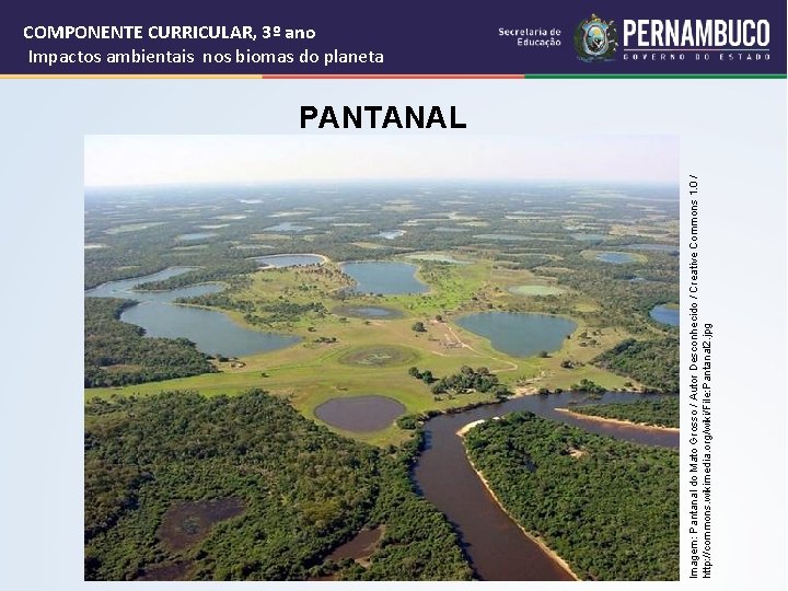  Imagem: Pantanal do Mato Grosso / Autor Desconhecido / Creative Commons 1. 0