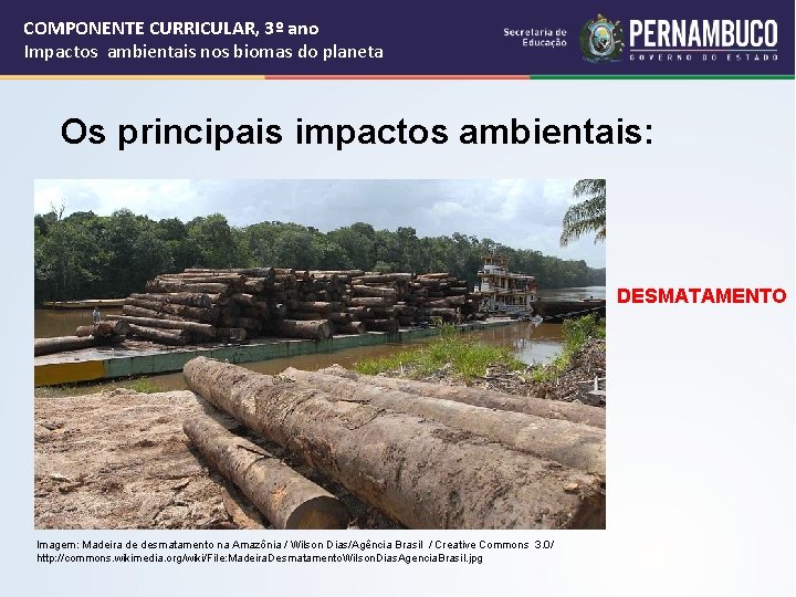 COMPONENTE CURRICULAR, 3º ano Impactos ambientais nos biomas do planeta Os principais impactos ambientais: