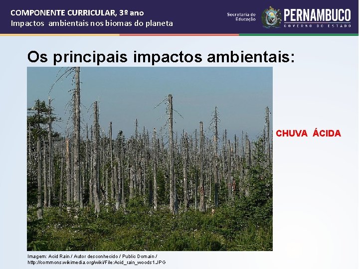 COMPONENTE CURRICULAR, 3º ano Impactos ambientais nos biomas do planeta Os principais impactos ambientais: