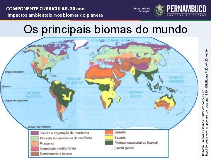 Imagem: Biomas do mundo / Autor desconhecido / http: //dorareviewschool. pbworks. com/w/page/18104153/Biomas%20 do%20 Mundo