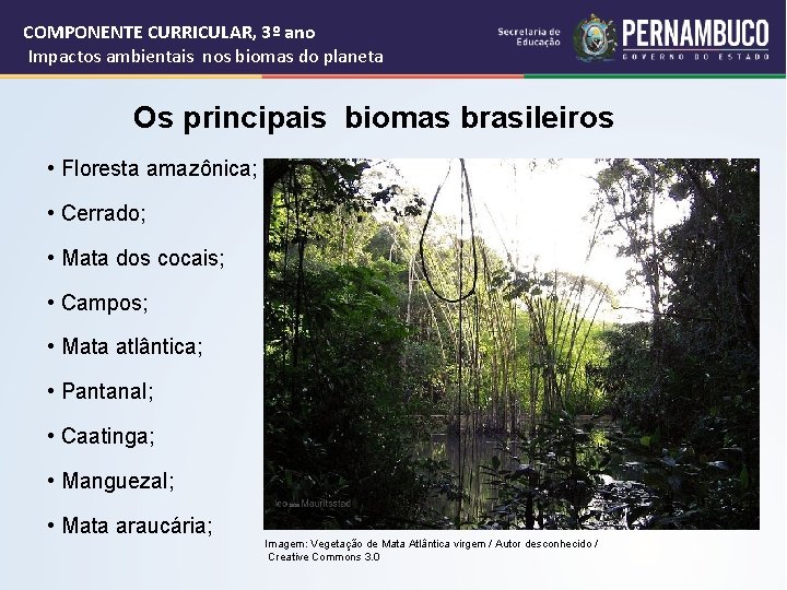 COMPONENTE CURRICULAR, 3º ano Impactos ambientais nos biomas do planeta Os principais biomas brasileiros