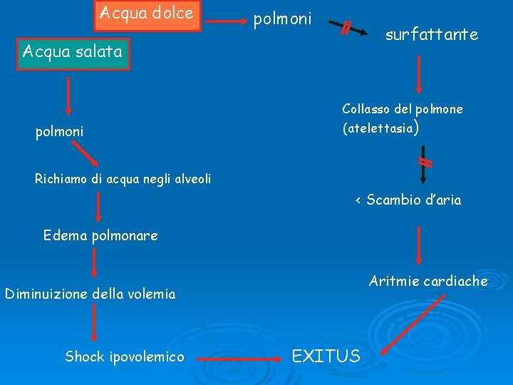 Acqua dolce polmoni surfattante Acqua salata Collasso del polmone polmoni (atelettasia) Richiamo di acqua