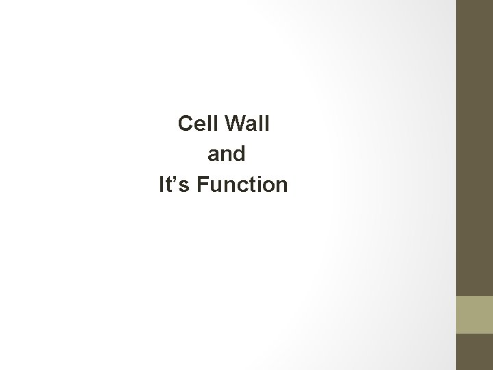 Cell Wall and It’s Function 