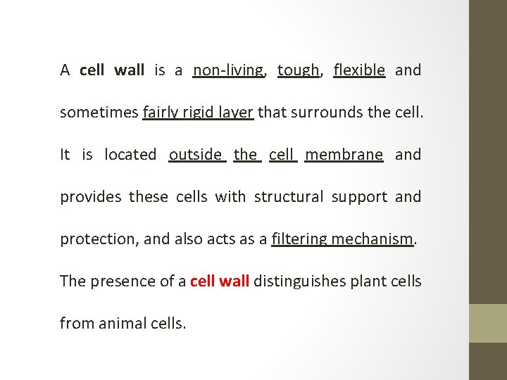 A cell wall is a non-living, tough, flexible and sometimes fairly rigid layer that