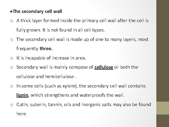  The secondary cell wall o A thick layer formed inside the primary cell