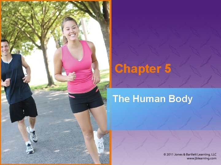 Chapter 5 The Human Body 