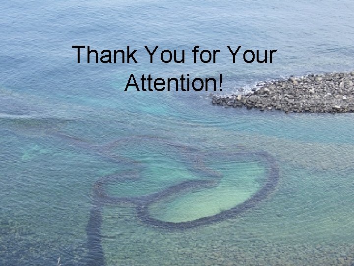 Thank You for Your Attention! 