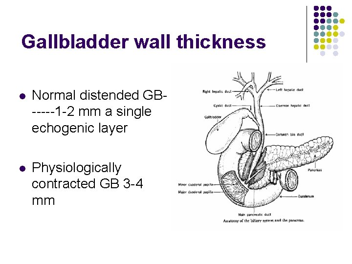 Gallbladder wall thickness l Normal distended GB-----1 -2 mm a single echogenic layer l