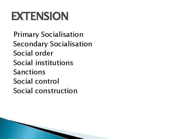 EXTENSION Primary Socialisation Secondary Socialisation Social order Social institutions Sanctions Social control Social construction