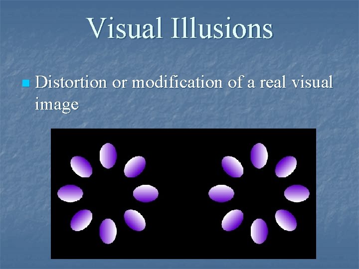 Visual Illusions n Distortion or modification of a real visual image 