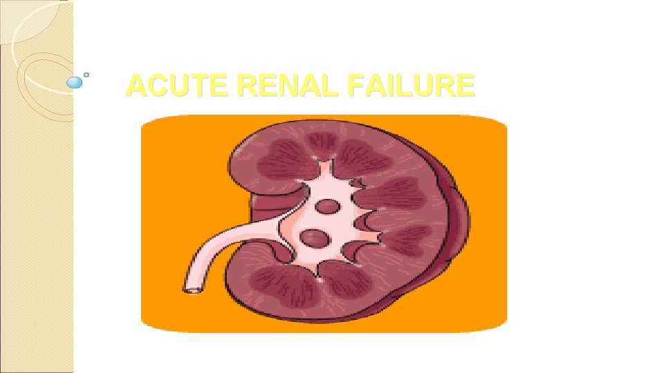 ACUTE RENAL FAILURE 
