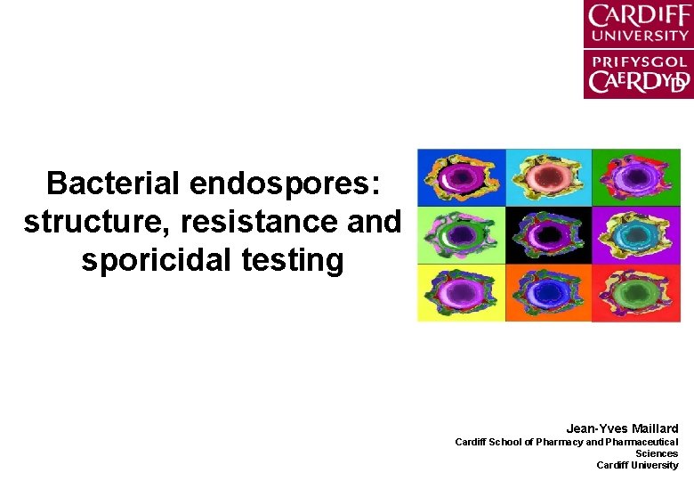 Bacterial endospores structure resistance and sporicidal testing JeanYves