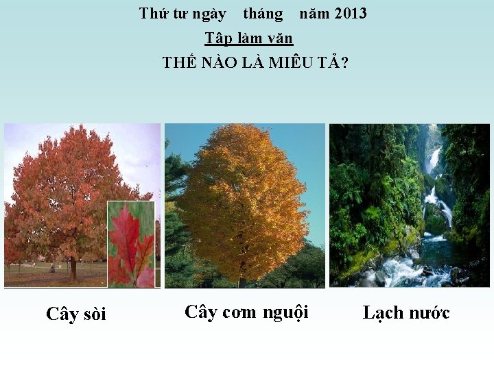 Thứ tư ngày tháng năm 2013 Tập làm văn THẾ NÀO LÀ MIÊU TẢ?