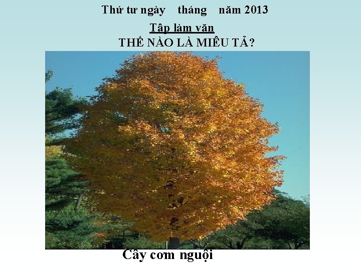 Thứ tư ngày tháng năm 2013 Tập làm văn THẾ NÀO LÀ MIÊU TẢ?