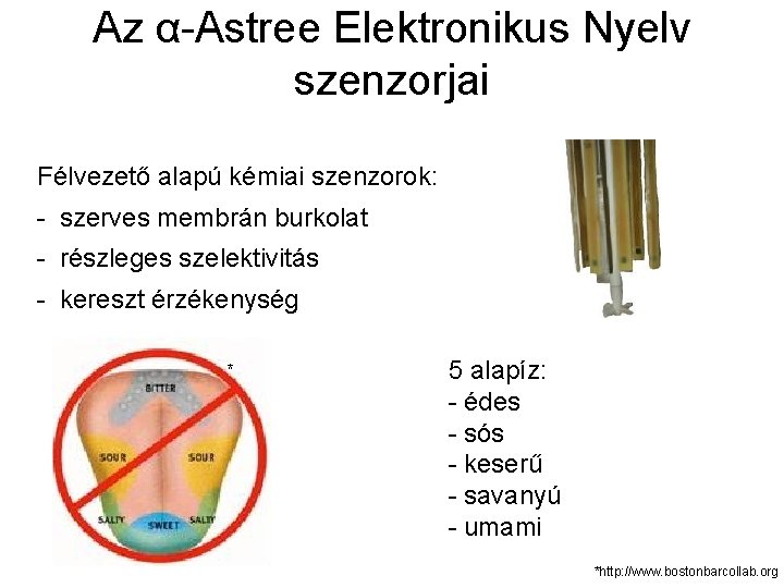 Az α-Astree Elektronikus Nyelv szenzorjai Félvezető alapú kémiai szenzorok: - szerves membrán burkolat -