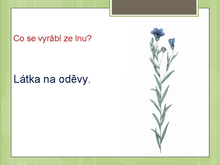 Co se vyrábí ze lnu? Látka na oděvy. 