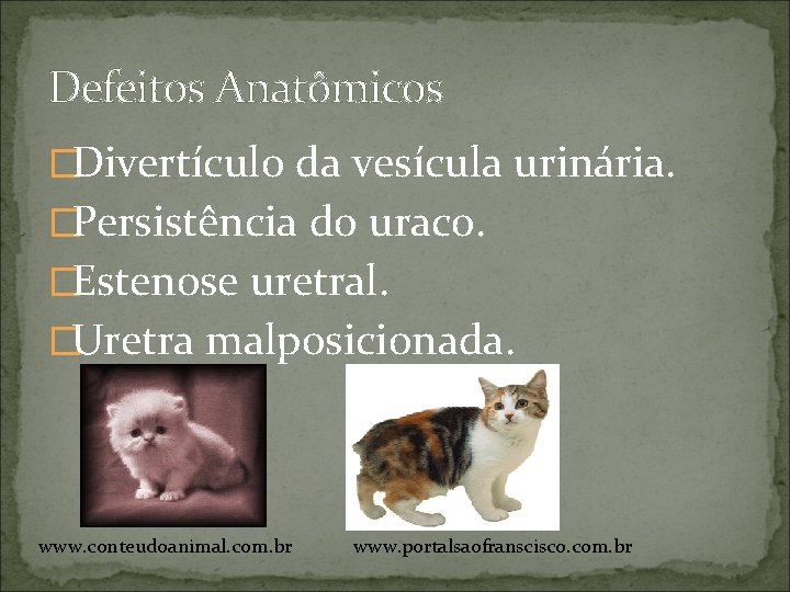 Defeitos Anatômicos �Divertículo da vesícula urinária. �Persistência do uraco. �Estenose uretral. �Uretra malposicionada. www.