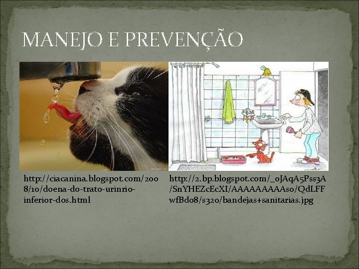 MANEJO E PREVENÇÃO http: //ciacanina. blogspot. com/200 8/10/doena-do-trato-urinrioinferior-dos. html http: //2. bp. blogspot. com/_o.