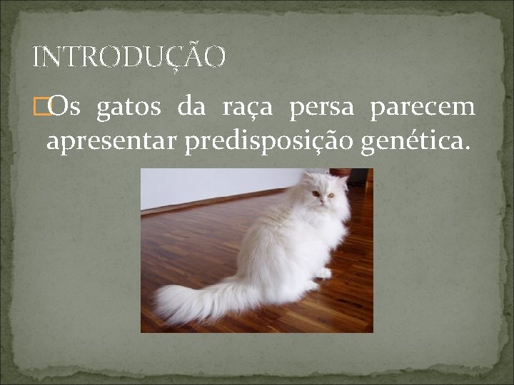 INTRODUÇÃO �Os gatos da raça persa parecem apresentar predisposição genética. 
