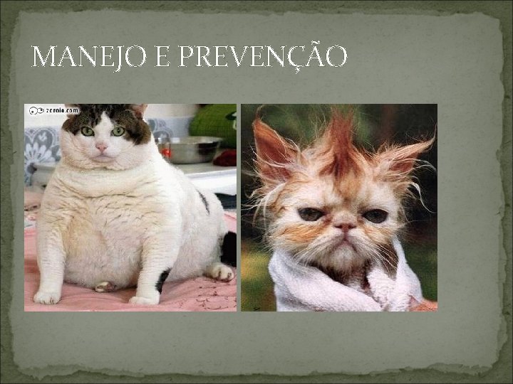 MANEJO E PREVENÇÃO 