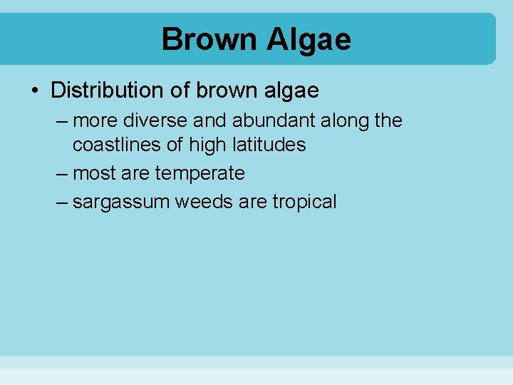 Brown Algae • Distribution of brown algae – more diverse and abundant along the