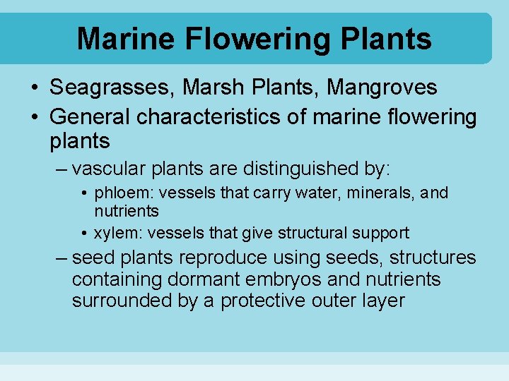 Marine Flowering Plants • Seagrasses, Marsh Plants, Mangroves • General characteristics of marine flowering