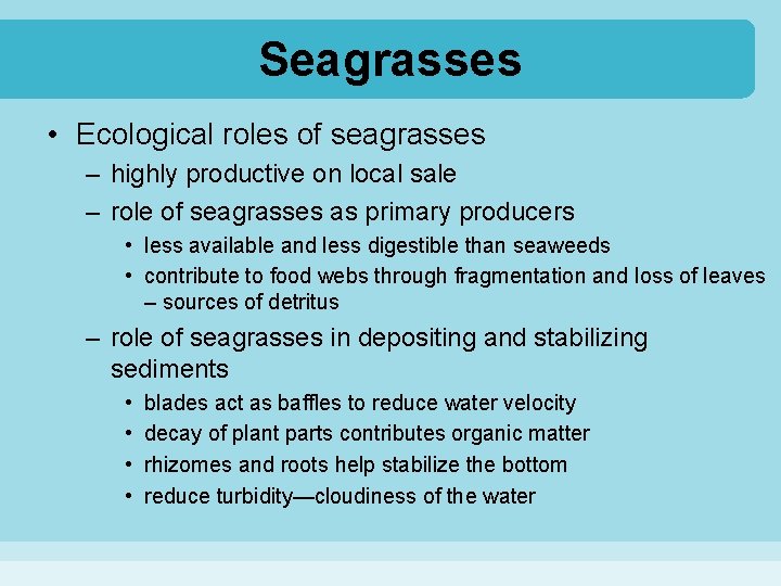 Seagrasses • Ecological roles of seagrasses – highly productive on local sale – role