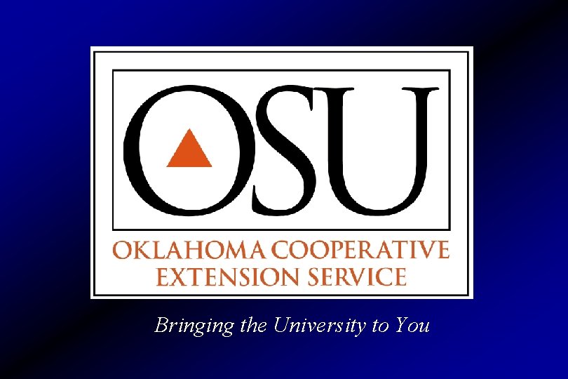 Bringing the University to You 