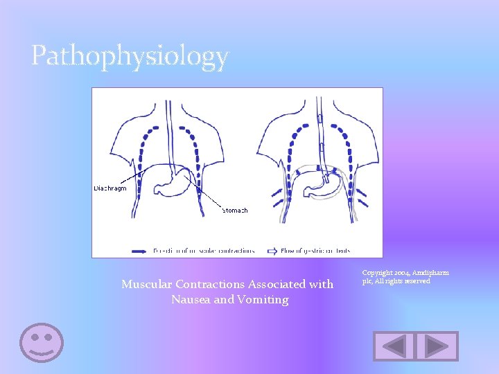 Pathophysiology Muscular Contractions Associated with Nausea and Vomiting Copyright 2004, Amdipharm plc, All rights