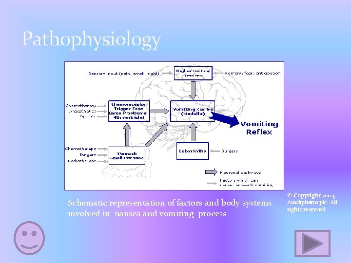 Pathophysiology Schematic representation of factors and body systems involved in nausea and vomiting process