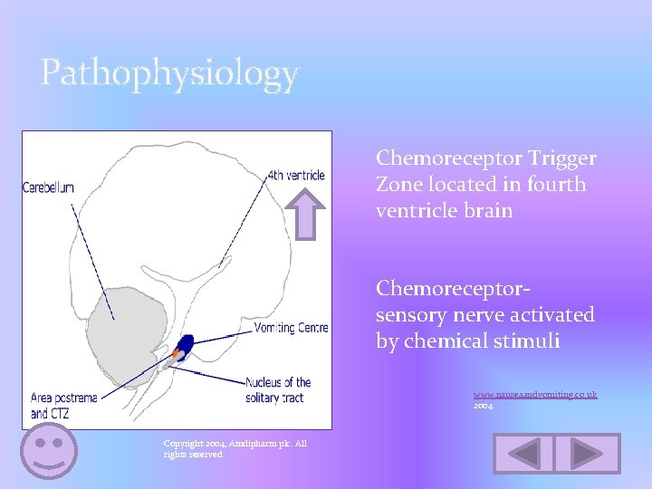 Pathophysiology Chemoreceptor Trigger Zone located in fourth ventricle brain Chemoreceptorsensory nerve activated by chemical